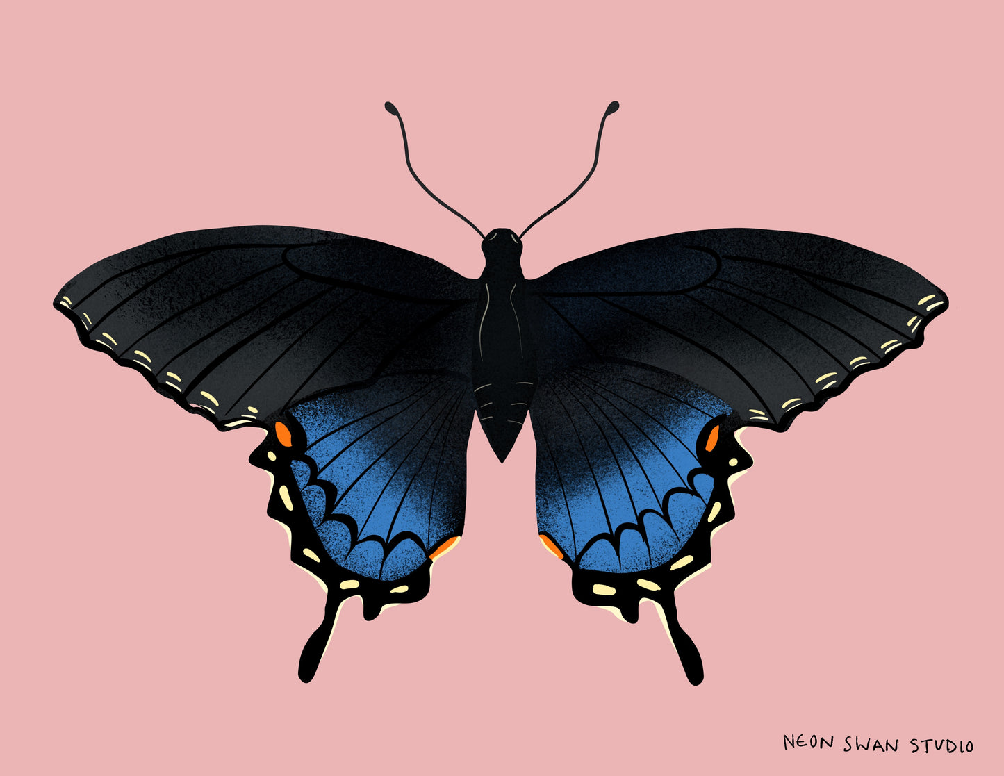 Swallowtail Butterfly Giclée Mini Print